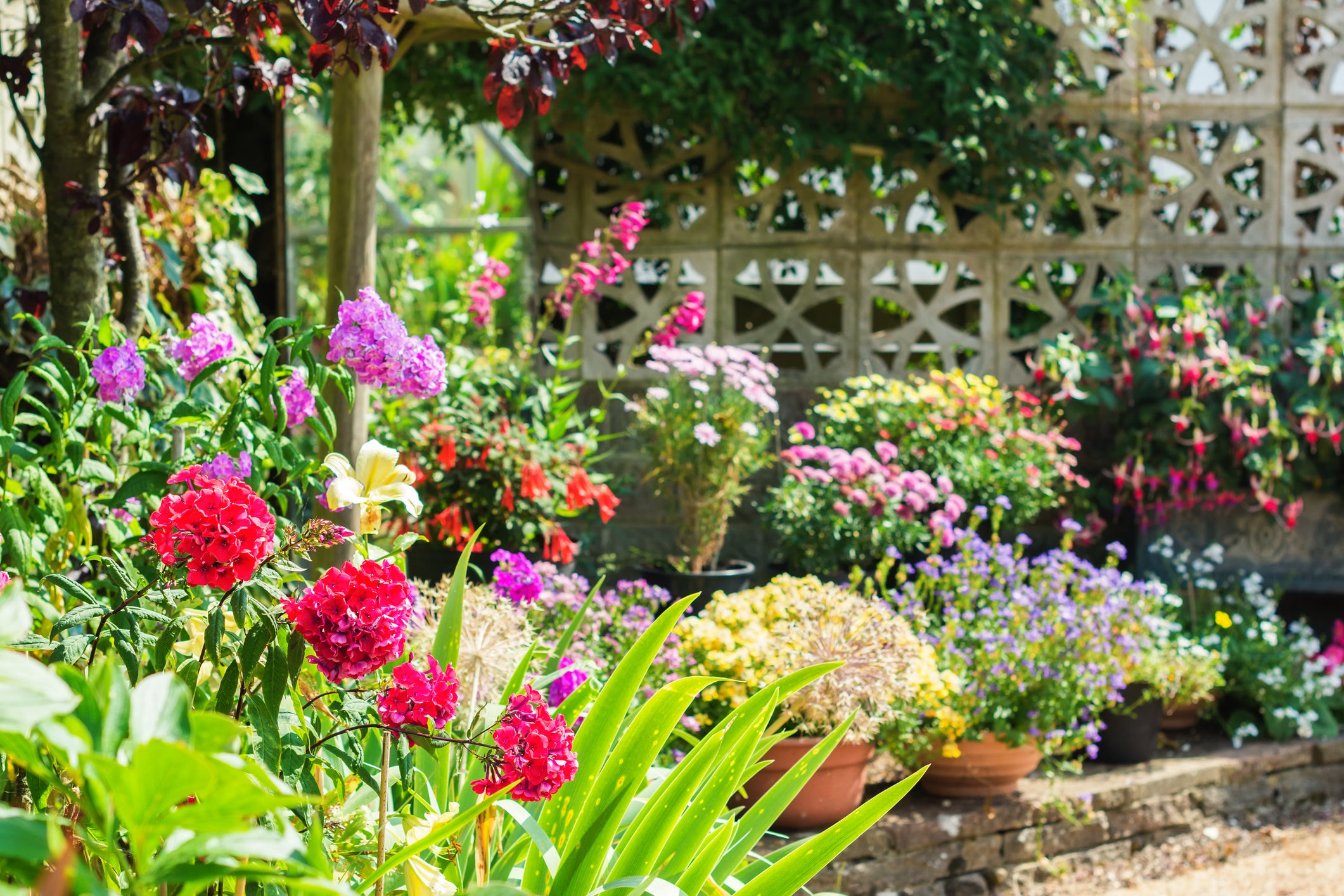 Gardening in January: A Fresh Start to a Flourishing Garden