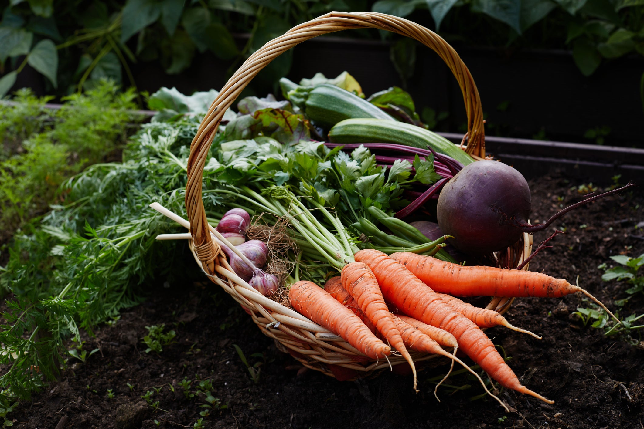 basket of fall vegetables
