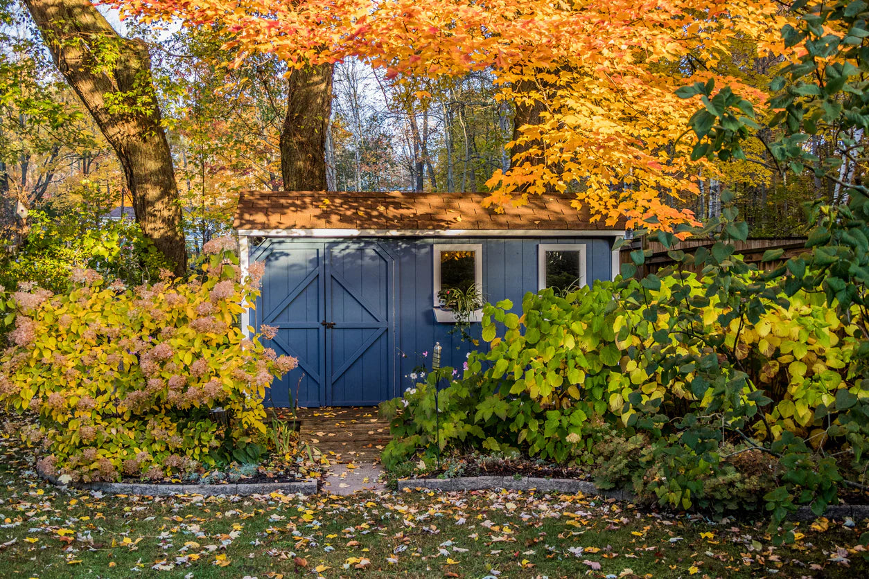 Fall Tree and Shrub Planting