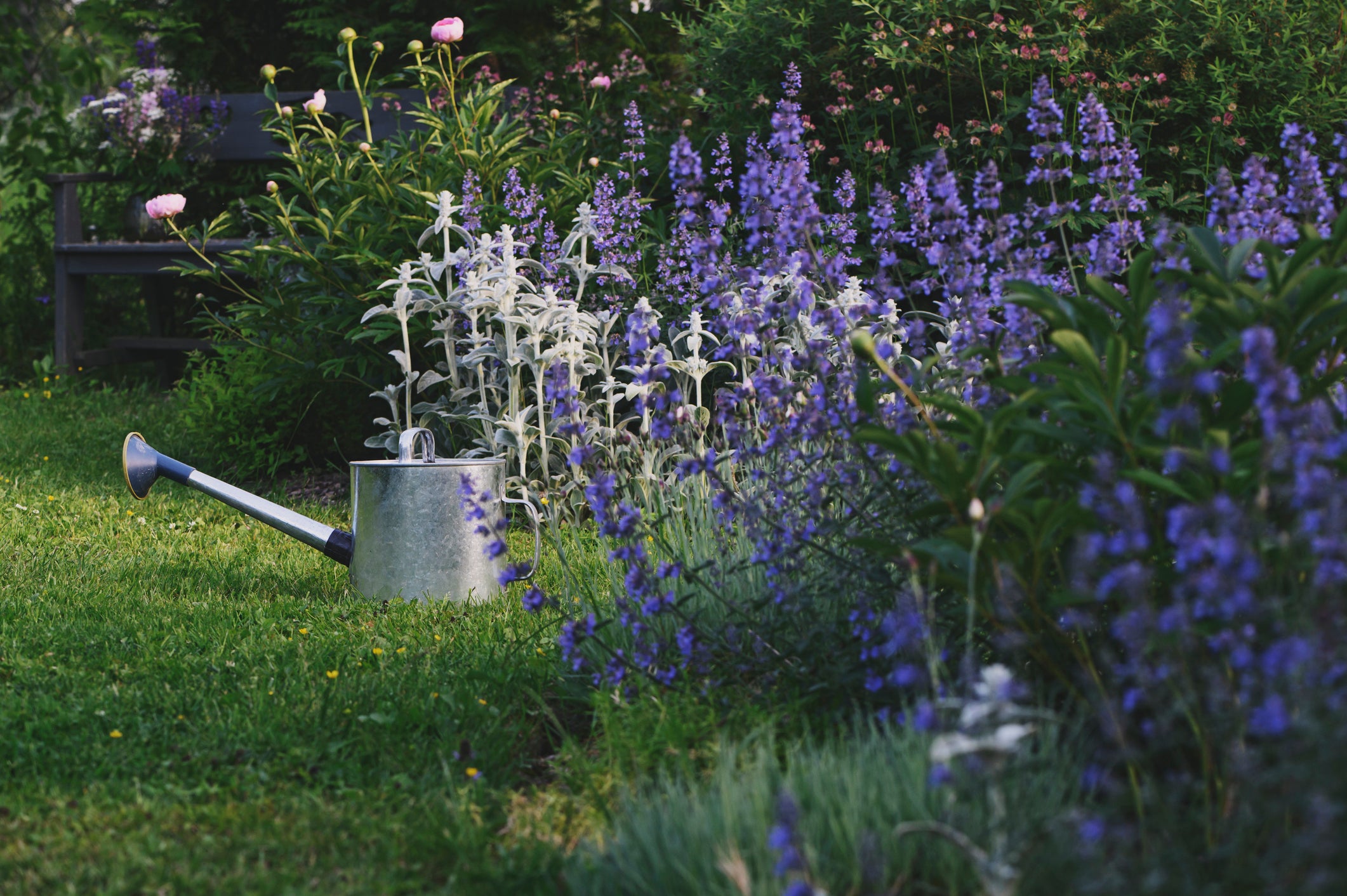 Bloom into June: Top Garden Design Trends for 2024