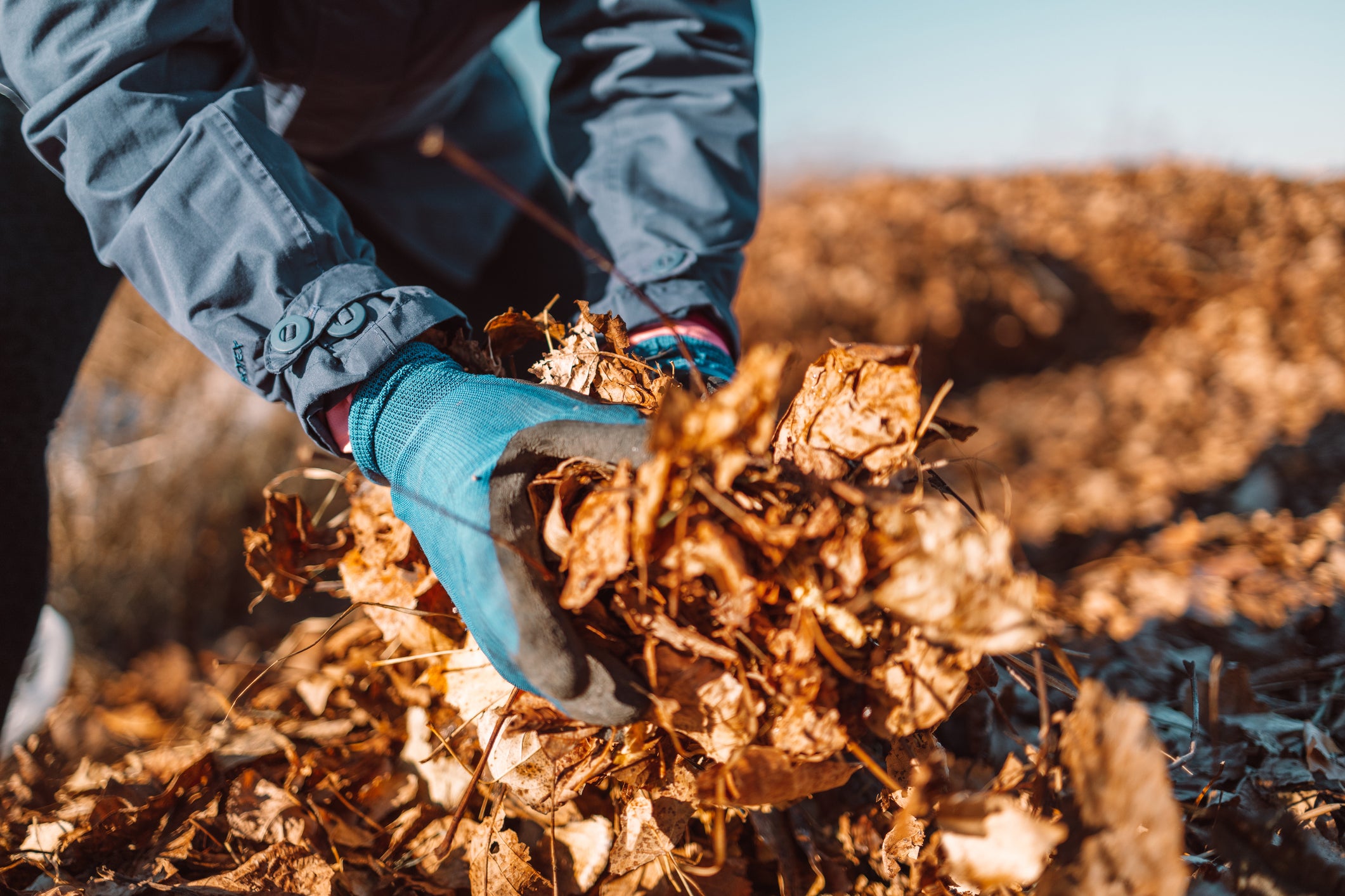 Fall Composting: Turning Garden Waste into Nutrient-Rich Soil