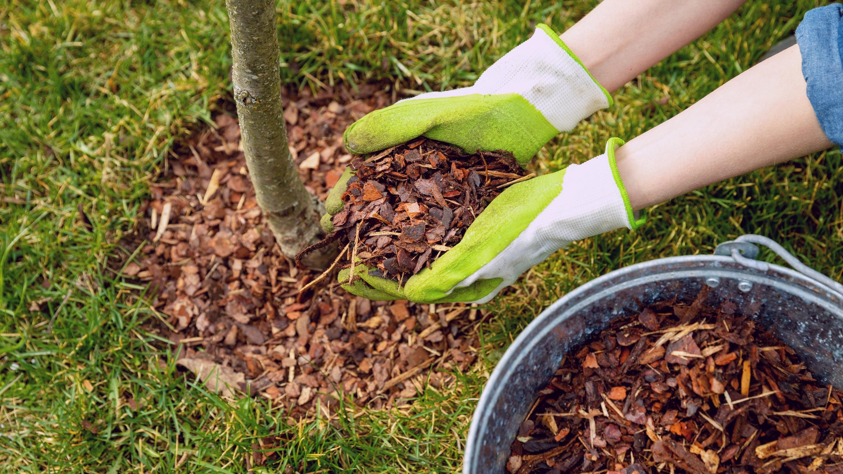 Mulch Madness
