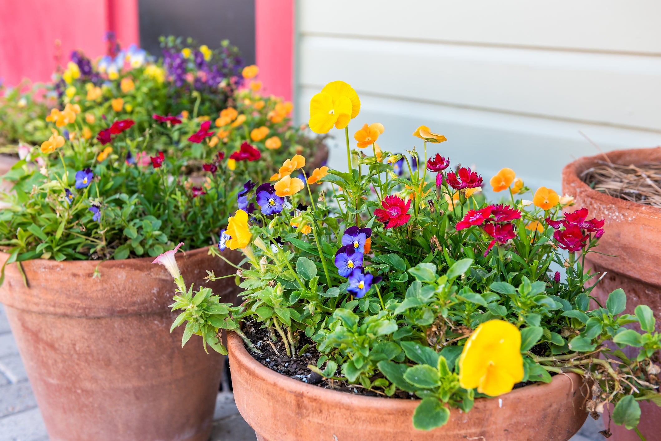 March Gardening Madness