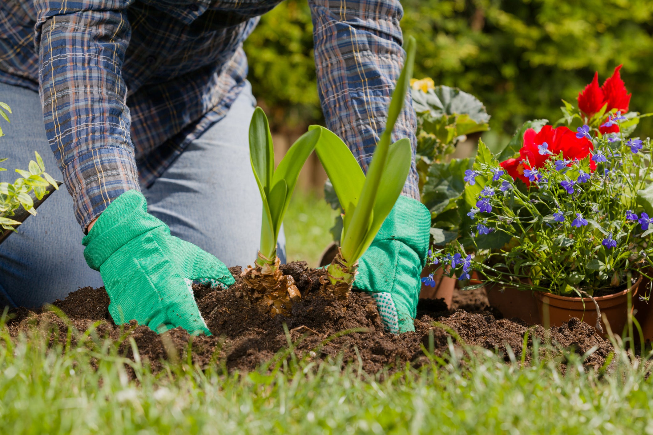 Eight Gardening Tips for April