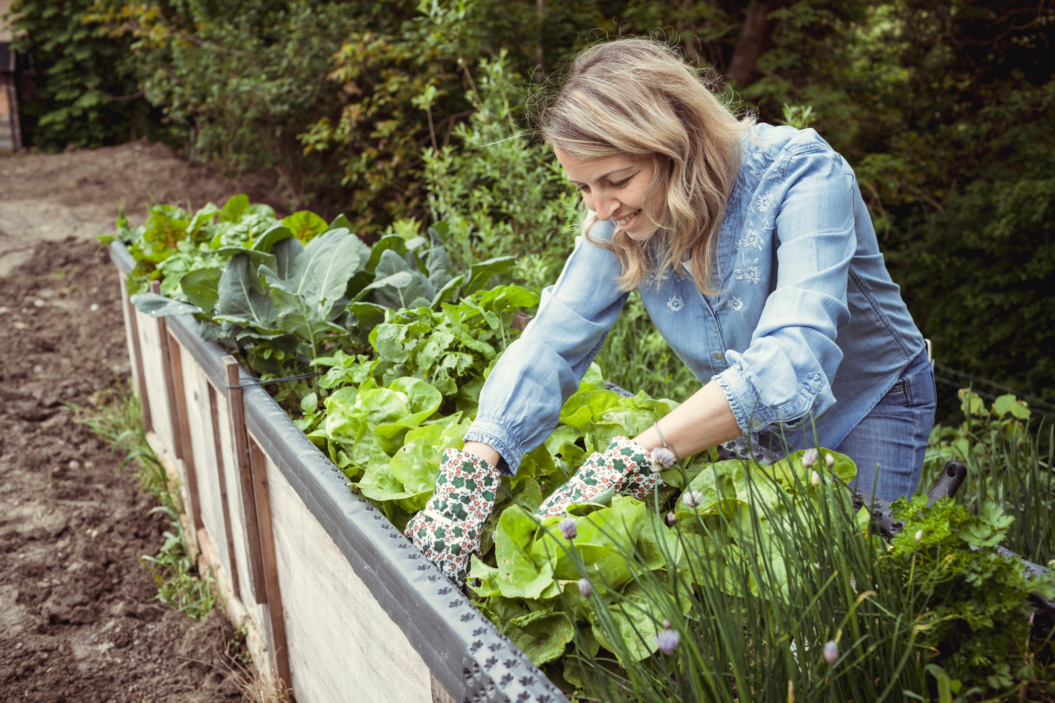 Unforgettable Edibles - Cole Crops