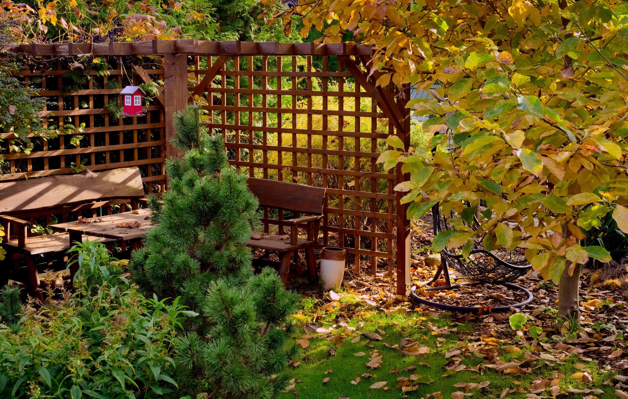 Dig Into Fall Gardening